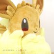 Photo5: Pokemon Center 2020 Gigantamax Eevee Plush doll G-Max (5)