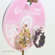 Photo3: Pokemon Center 2020 Pokemon accessory Series Clips Earrings E39 (3)