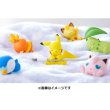 Photo4: Pokemon 2019 Suyasuya on the cable vol.5 Cord Keeper Sleeping Torchic Mini Figure (4)