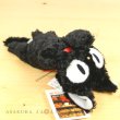 Photo4: Studio Ghibli Kki's delivery service KUTAKUTA Crawling Jiji Plush doll S size (4)