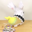 Photo3: Pokemon Center 2020 Halloween Galar Garden Yamper Plush doll (3)