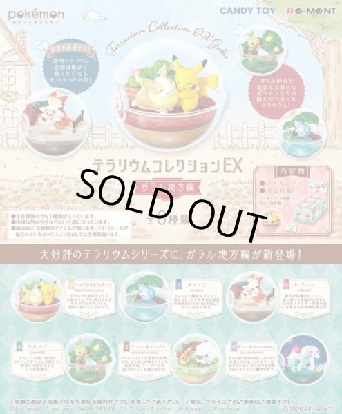 Photo2: Pokemon 2020 Terrarium Collection EX Galar edition set of 6 Figure Complete set Mini Figure (2)