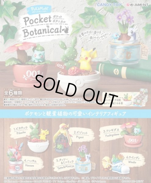 Photo3: Pokemon 2020 Pocket Botanical vol.1 set of 6 Figure Complete set Mini Figure (3)