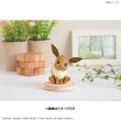 Photo6: Pokemon 2021 PLAMO Collection Quick!! 04 Eevee Plastic Model Kit (6)