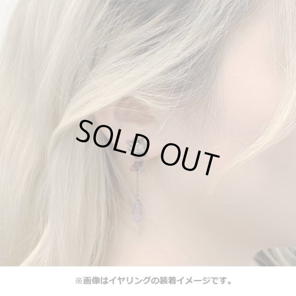 Photo3: Pokemon Center 2020 Pokemon accessory Series Clips Earrings E53 (3)