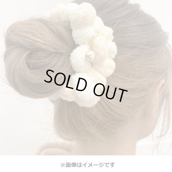 Photo2: Pokemon Center 2020 Pokemon accessory Series Hair bands Scrunchie H37 (2)