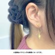 Photo4: Pokemon Center 2020 Pokemon accessory Series Clips Earrings E49 (4)
