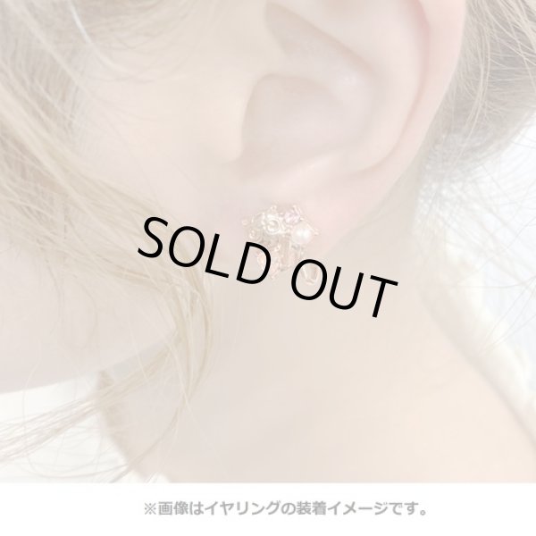 Photo3: Pokemon Center 2020 Pokemon accessory Series Clips Earrings E52 (3)