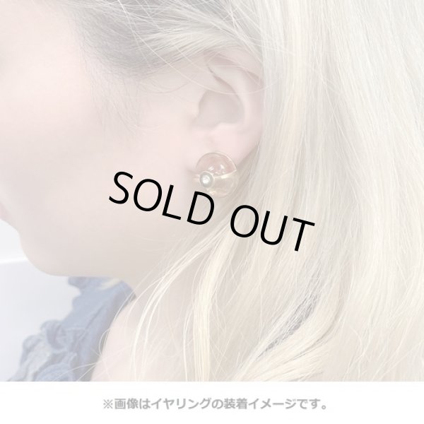 Photo3: Pokemon Center 2020 Pokemon accessory Series Clips Earrings E42 (3)