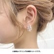 Photo4: Pokemon Center 2020 Pokemon accessory Series Pierced Earrings P55 (4)