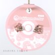 Photo4: Pokemon Center 2020 Pokemon accessory Series Pierced Earrings P57 (4)