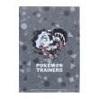 Photo5: Pokemon Center 2020 Pokemon Trainers A4 Size Clear File Folder 2 pcs Marnie Piers (5)