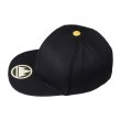 Photo3: Pokemon Center 2020 Pokemon Trainers Champion Leon's cap (3)