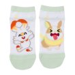 Photo1: Pokemon Center 2021 Pika Pika Friends Socks for Women 23 - 25 cm 1 Pair Scorbunny Yamper (1)