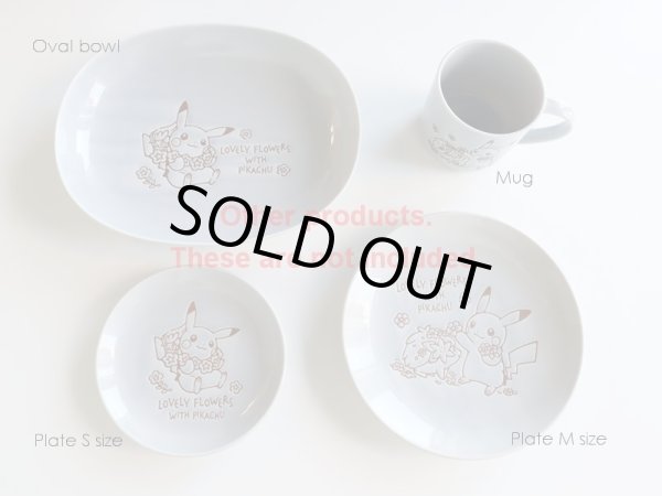 Photo4: Pokemon Center 2021 LOVELY FLOWERS WITH PIKACHU Plate M size Blue gray ver. (4)