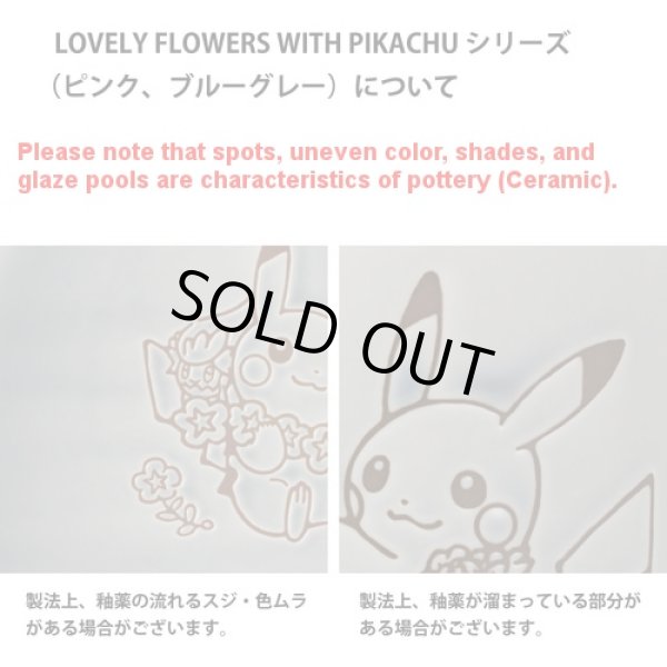 Photo3: Pokemon Center 2021 LOVELY FLOWERS WITH PIKACHU Plate M size Blue gray ver. (3)
