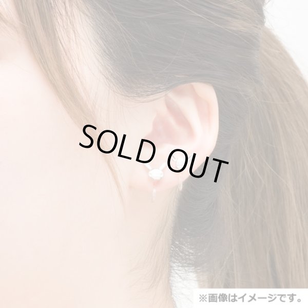 Photo5: Pokemon Center 2021 Pokemon accessory Series Clips Earrings E57 (5)