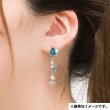 Photo3: Pokemon Center 2021 Pokemon accessory Series Pierced Earrings P65 (3)