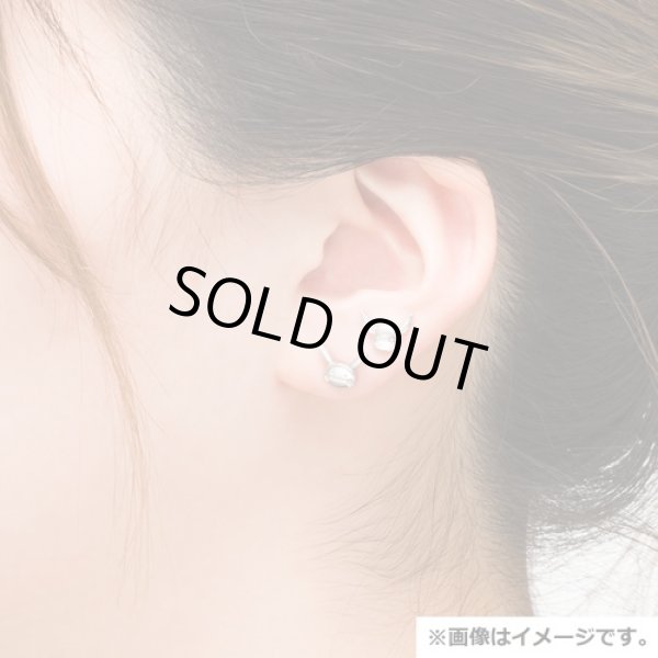 Photo5: Pokemon Center 2021 Pokemon accessory Series Pierced Earrings P62 (5)