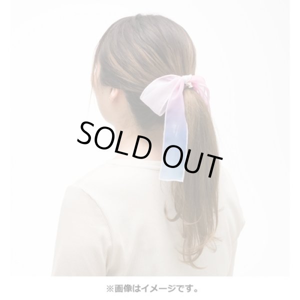 Photo3: Pokemon Center 2021 Pokemon accessory Series Hair bands H42 (3)