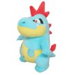 Photo1: Pokemon 2020 ALL STAR COLLECTION Croconaw Plush Toy SAN-EI (1)