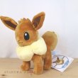 Photo3: Pokemon Center 2021 Eievui Collection Eevee Plush doll (3)