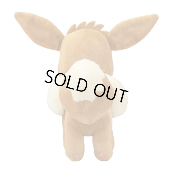 Photo2: Pokemon Center 2021 Eievui Collection Eevee Plush doll (2)