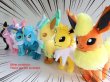 Photo5: Pokemon Center 2021 Eievui Collection Flareon Plush doll (5)