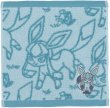 Photo1: Pokemon Center 2021 Eievui Collection Hand towel Handkerchief Glaceon (1)