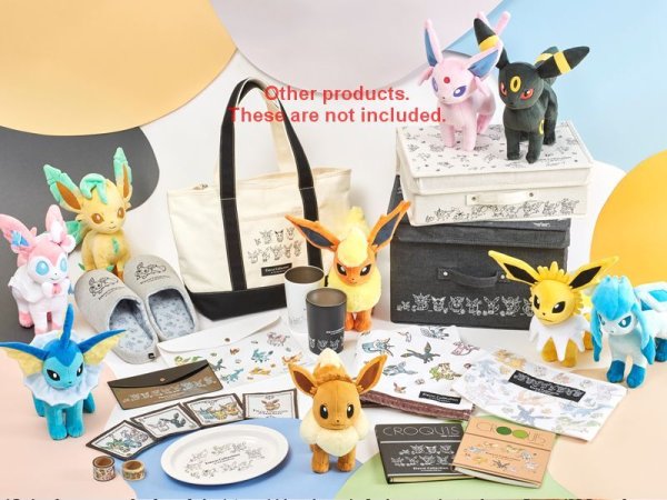Photo3: Pokemon Center 2021 Eievui Collection CROQUIS book SQ Black (3)