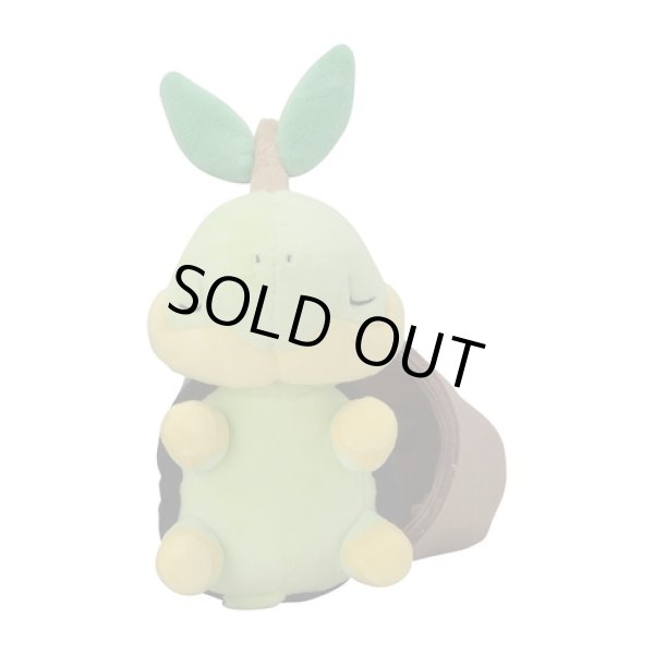 Photo3: Pokemon Center 2021 Grassy Gardening Turtwig Plush doll (3)