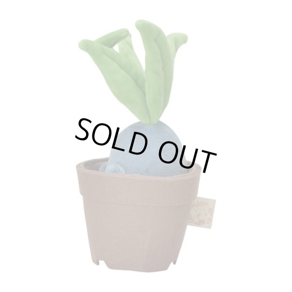 Pokemon Center 2021 Grassy Gardening Oddish Plush doll