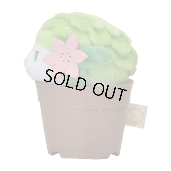Photo2: Pokemon Center 2021 Grassy Gardening Shaymin Plush doll (2)