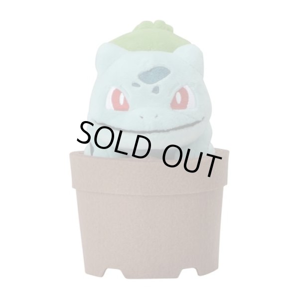 Photo1: Pokemon Center 2021 Grassy Gardening Bulbasaur Plush doll (1)