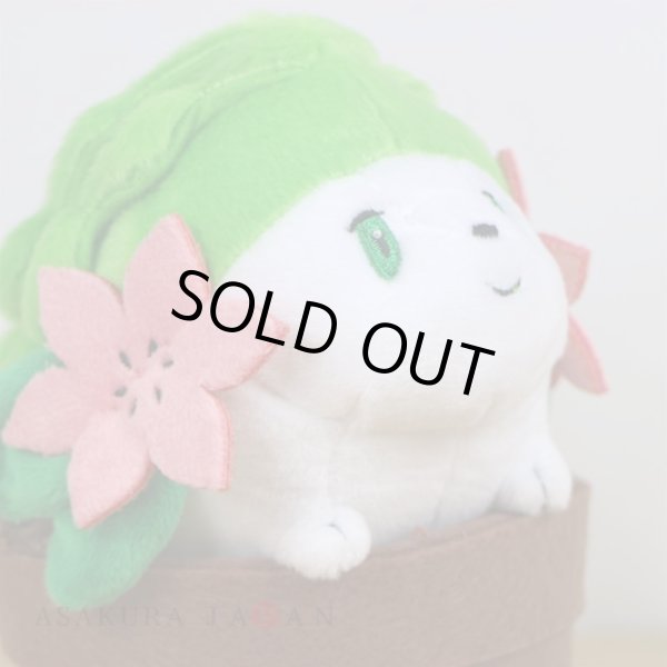 Photo5: Pokemon Center 2021 Grassy Gardening Shaymin Plush doll (5)