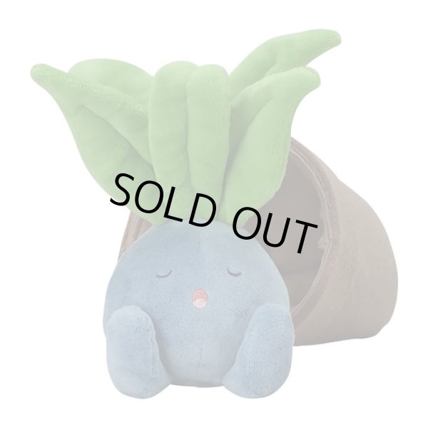 Photo3: Pokemon Center 2021 Grassy Gardening Oddish Plush doll (3)
