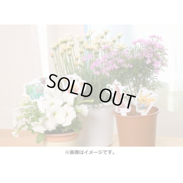 Photo4: Pokemon Center 2021 Grassy Gardening Acrylic pick charm Key chain Bulbasaur (4)