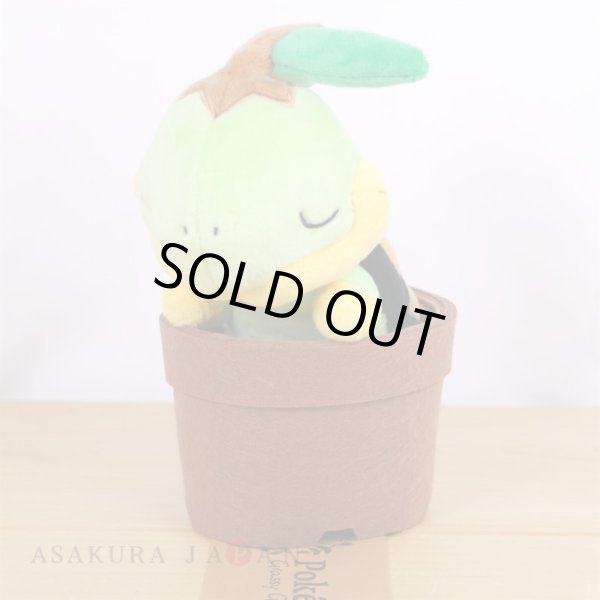 Photo4: Pokemon Center 2021 Grassy Gardening Turtwig Plush doll (4)