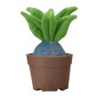 Photo1: Pokemon Center 2021 Grassy Gardening Oddish Plush doll (1)