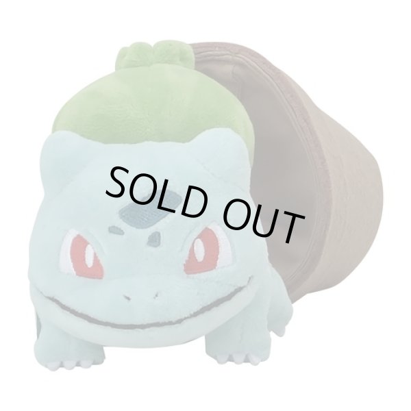 Photo3: Pokemon Center 2021 Grassy Gardening Bulbasaur Plush doll (3)