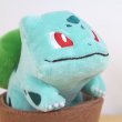 Photo5: Pokemon Center 2021 Grassy Gardening Bulbasaur Plush doll (5)