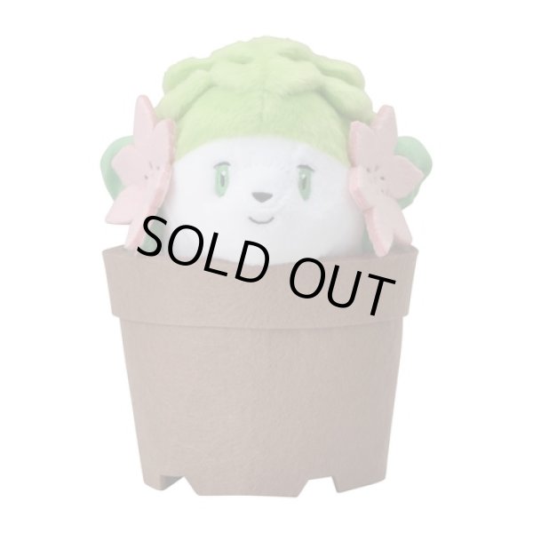 Photo1: Pokemon Center 2021 Grassy Gardening Shaymin Plush doll (1)