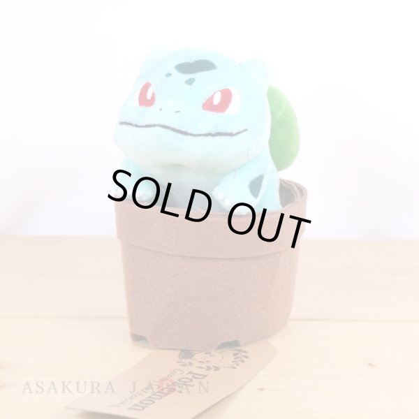 Photo4: Pokemon Center 2021 Grassy Gardening Bulbasaur Plush doll (4)