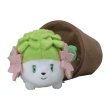 Photo3: Pokemon Center 2021 Grassy Gardening Shaymin Plush doll (3)