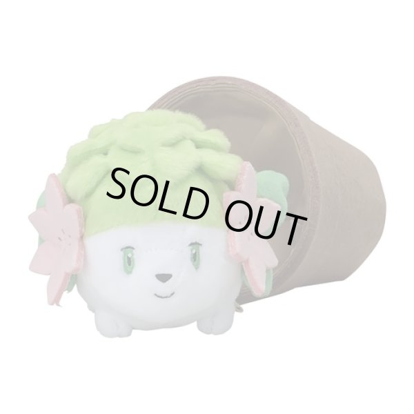 Photo3: Pokemon Center 2021 Grassy Gardening Shaymin Plush doll (3)
