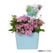 Photo3: Pokemon Center 2021 Grassy Gardening Acrylic pick charm Key chain Bulbasaur (3)