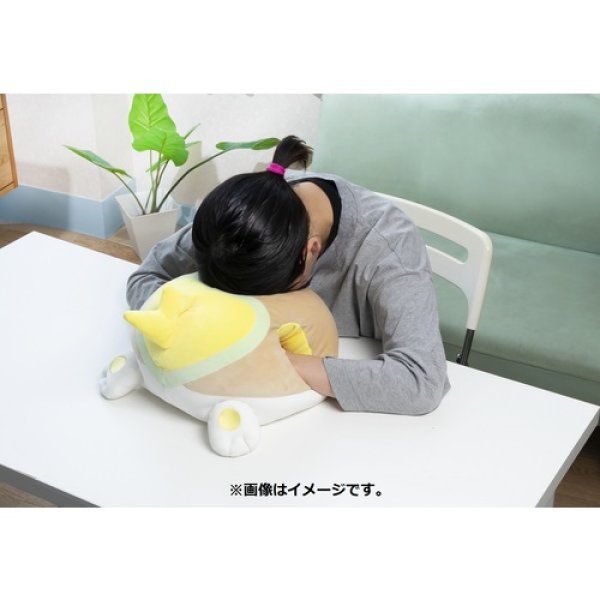 にゃお.pu.pu. 51CngbVQz4L.jpg_BO30,255,255,