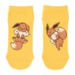 Photo1: Pokemon Center 2021 Minna Otsukaresama Socks for Women 23 - 25 cm 1 Pair Eevee (1)