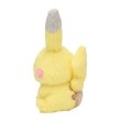 Photo3: Pokemon Center 2021 Repoto Kaitene! Pikachu Plush doll (3)