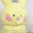 Photo6: Pokemon Center 2021 Repoto Kaitene! Pikachu Plush doll (6)